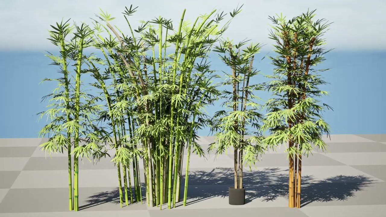 Realistic Bamboo Plants 3D Model