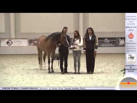 2nd N.4 WAHG ALBADEIA - Berlin Cup S-Show Werder 2015 - Junior Female Championship (Class 15)