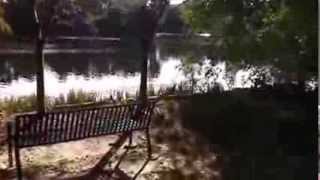 preview picture of video 'Swan Lake Iris Gardens in Sumter, SC'