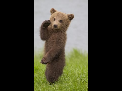 How does it feel to 25 hours of CS:GO playtime?? (Road to 1280)