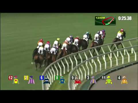 2022 04 06 快活谷 第三場 合駿駒 蔡明紹