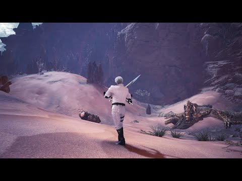 [MHW:IB] Fighting Diablos with Dual Blades in an area full of dunes be like...