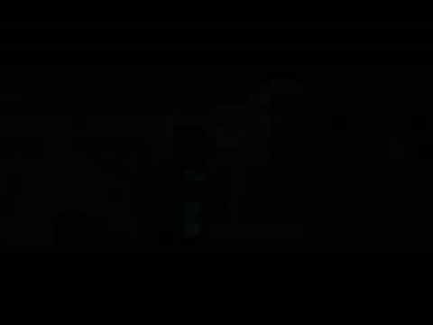 Point Blank "wonderland"