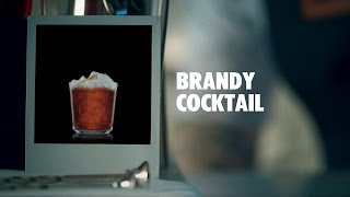 BRANDY COCKTAIL DRINK RECIPE  HOW TO MIX
