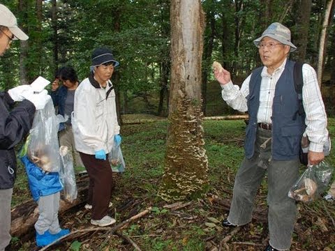 園芸 キノコの見分け方は?