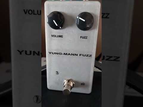 Nerdvana Yung Mann Fuzz 2024 - Matte Clear image 6