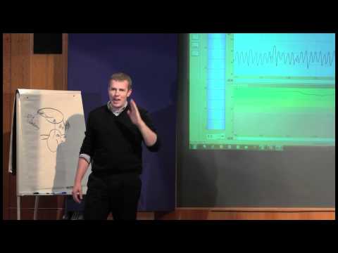 TEDxPortsmouth - Dr. Alan Watkins - Being Brilliant Every Single Day (Part 2)