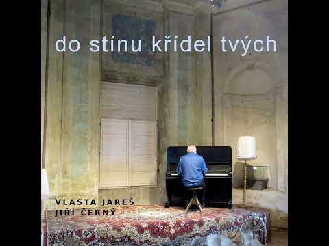 Neseme pane chléb a víno - Vlasta Jareš