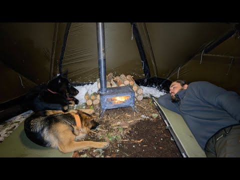 Extreme Winter Camping in a Foggy Snowy Forest | Warm Tent with My Dogs