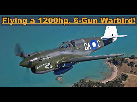 (4K) The 1943 Curtiss P-40 Kittyhawk | Warbird Walkaround & Flight