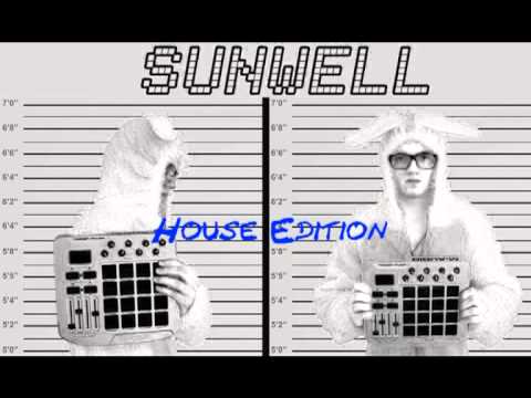 Dimitri Vegas & Like Mike Vs. Showtek - WakCannon (Sunwell Edit.)