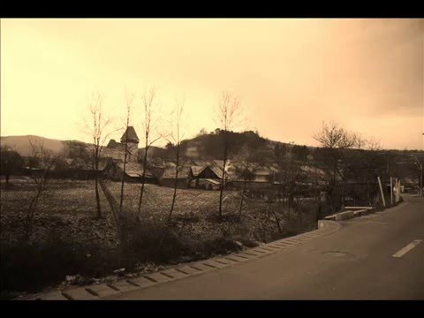 Moti florian ighisu nou 2016