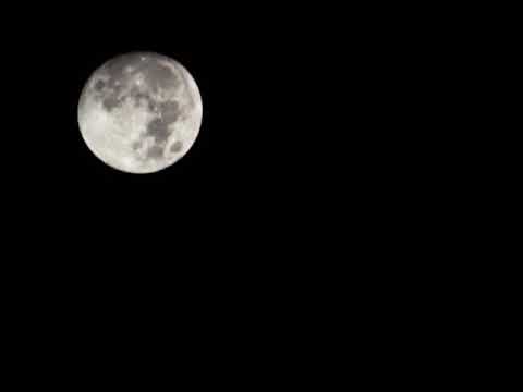 John Cook - I Did Not Leave