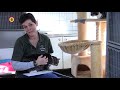"Ze worden er relaxed van", Sandra leest voor aan honden aan katten