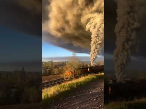 Das war nicht geplant! 🔥 #meinkamin #kamin #benzin #feuer #feuerwehr #zug #train #fire