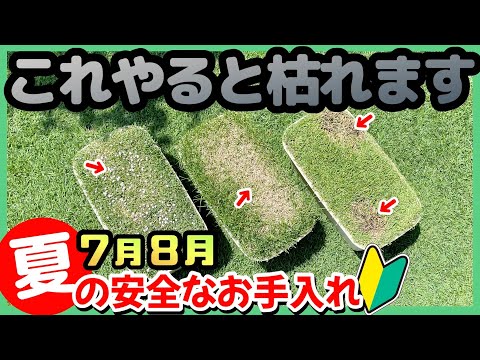  3月の芝生の手入れ方法は？元気に成長するための5つのヒント！  庭園