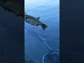 Video Thumbnail for Cultus Lake BC PB Smallmouth Bass