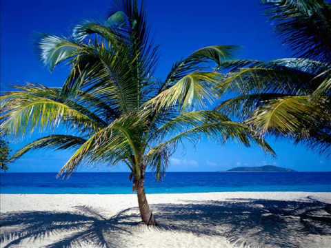 Aircraft 72 - Sunny Day (vocal mix)