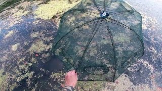 Зонты рыболовные из китая