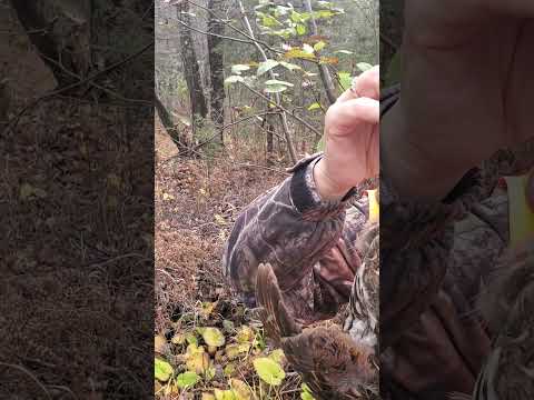 miss Lisa gets a ruff't grouse too..