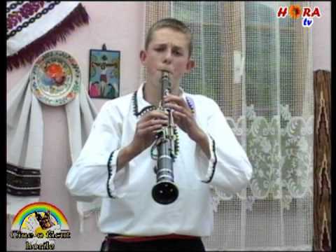 CIPRIAN VIRCIU - Doina