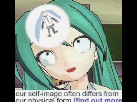 bo1 - pengosolvent slowed