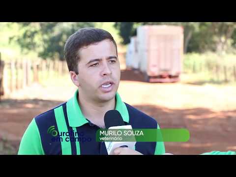 Ourofino em Campo - 28/05/2018