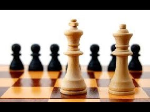 Chess Live Stream