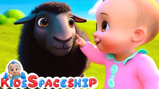 Baa Baa Black Sheep + 3 bag full - Nursery Rhymes | Completion Kids Spaceship Poem
