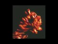 Disguised x FANK — Shananiganz [DISG003]