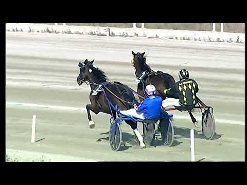 Napoli Trotto 13/02/2022 - 2ª corsa