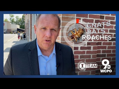 Dirty Dining: 100+ restaurants cited for rodent violations