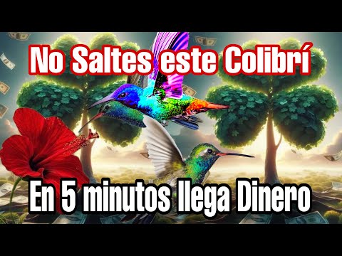 MILAGROS, BENDICIONES Y SERES DE LUZ LLEGARAN - DONDE SEA QUE SE ESCUCHEN ESTA FRECUENCIA