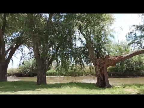 PASEO POR COSTANERA TAPALQUÉ BUENOS AIRES ARGENTINA 