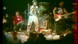 the vandals- urban struggle