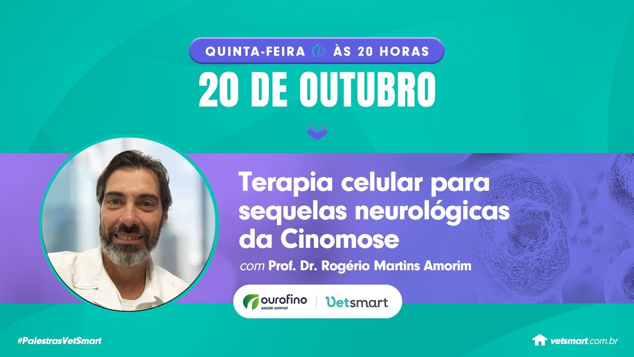 Terapia celular para sequelas neurológicas da Cinomose