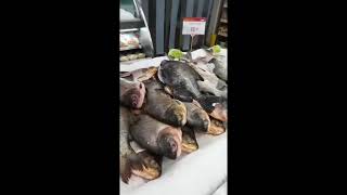 S tenho uma coisa a dizer  (ECA!)