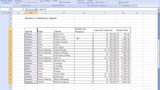 Subtotales excel 2007