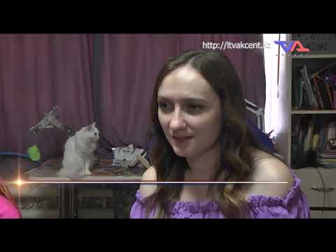 Выпуск программы “День” от 15 июня 2022г.