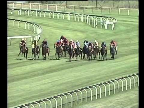 LAISSERFAIRE Computaform Sprint Gr1