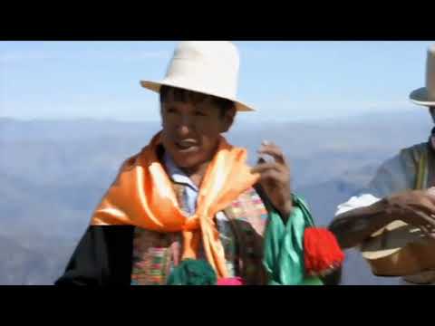 Marama, Rodrigo Tapari - Dame un Besito (Official Video)