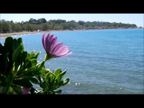 VIMA VIMA Haroula Alexiou Cover with lyrics Greek songs youtube