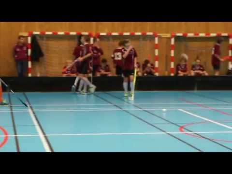 2015-01-11 Lugi-Engelholm