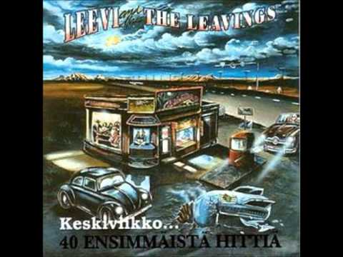 Elämänmeno video