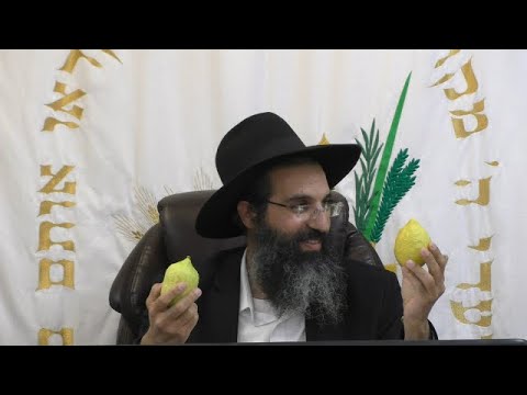 ארבעת המינים 🌴 בשנת שמיטה ובכלל | הרב שי עובד | ראשון - פרשת האזינו - תשפג