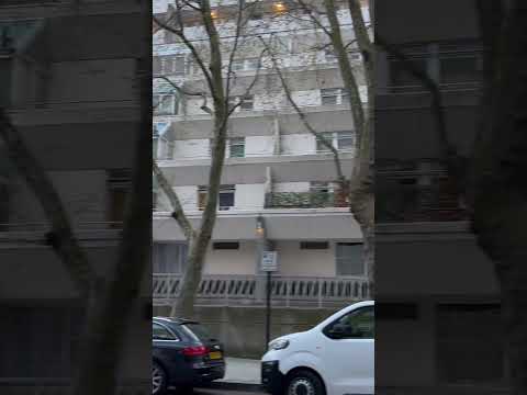 Sunday 😎 #sunday #london #londres #lifeinuk #uk #vlog #citytour #travel #citywalk #londonliving