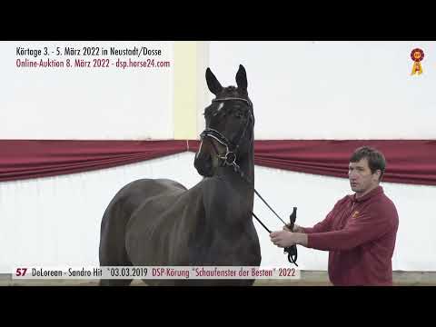 57 DeLorean Sandro Hit