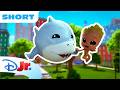 Jeff The Land Shark Helps Groot At The Pool Meet Spidey And His Amazing Friends Disneyjr