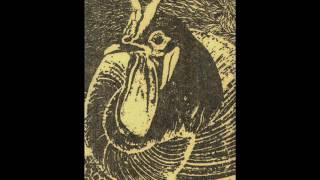 TNB & Organum - Salute Part Five