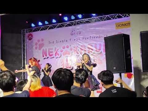 Aliszt @ Neko Kabuki - Donki Mall Thonglor【4K 60FPS】